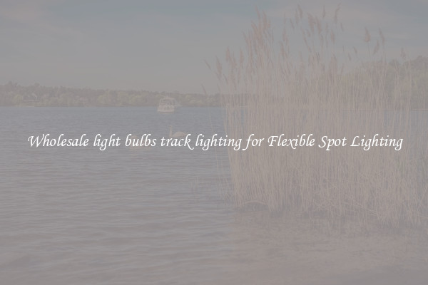 Wholesale light bulbs track lighting for Flexible Spot Lighting