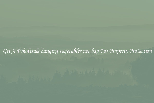 Get A Wholesale hanging vegetables net bag For Property Protection