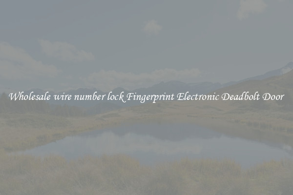 Wholesale wire number lock Fingerprint Electronic Deadbolt Door 