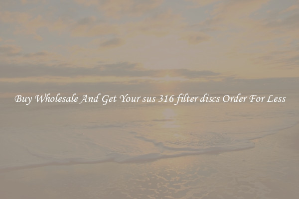 Buy Wholesale And Get Your sus 316 filter discs Order For Less
