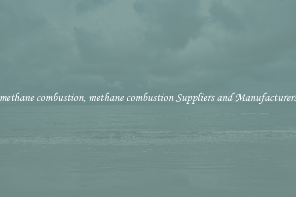 methane combustion, methane combustion Suppliers and Manufacturers