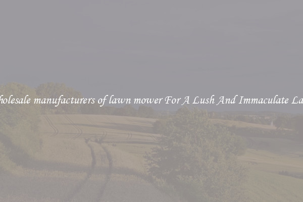 Wholesale manufacturers of lawn mower For A Lush And Immaculate Lawn