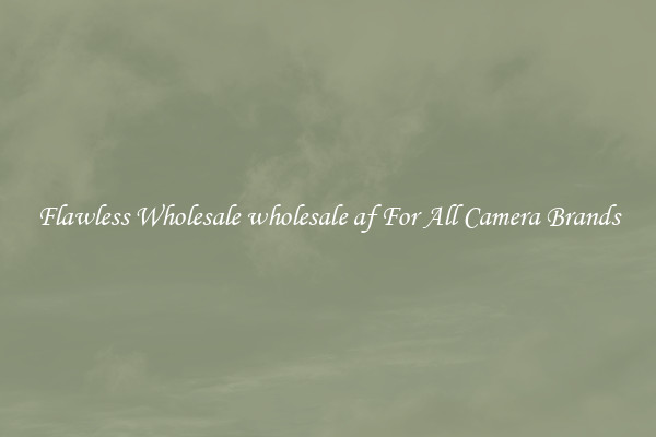 Flawless Wholesale wholesale af For All Camera Brands