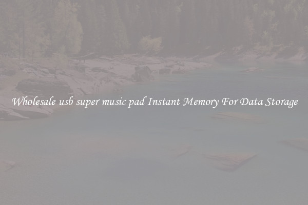 Wholesale usb super music pad Instant Memory For Data Storage