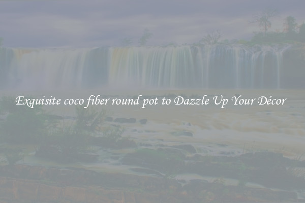 Exquisite coco fiber round pot to Dazzle Up Your Décor  
