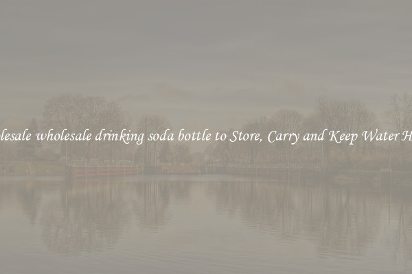 Wholesale wholesale drinking soda bottle to Store, Carry and Keep Water Handy