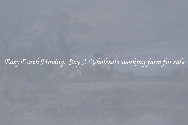 Easy Earth Moving: Buy A Wholesale working farm for sale