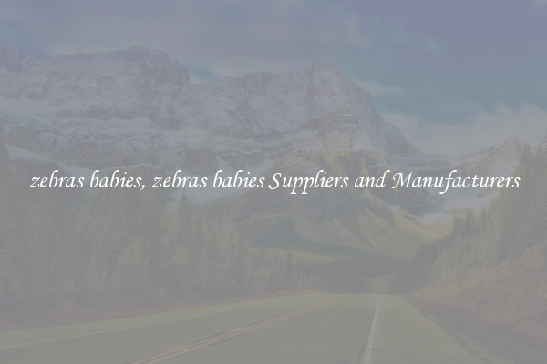 zebras babies, zebras babies Suppliers and Manufacturers