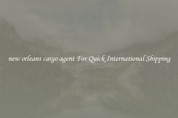 new orleans cargo agent For Quick International Shipping