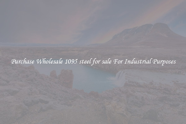 Purchase Wholesale 1095 steel for sale For Industrial Purposes