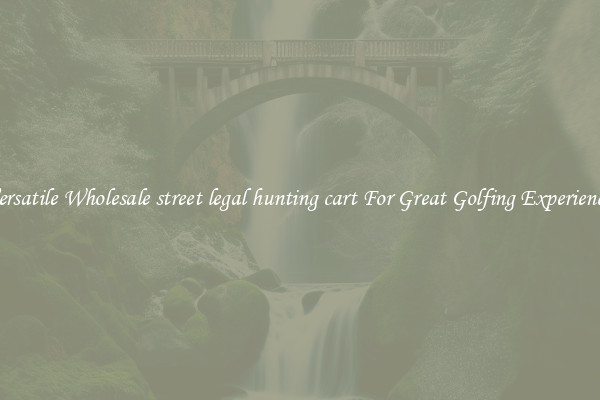 Versatile Wholesale street legal hunting cart For Great Golfing Experience 