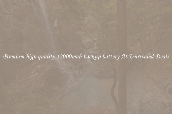 Premium high quality 12000mah backup battery At Unrivaled Deals