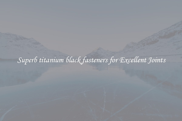 Superb titanium black fasteners for Excellent Joints