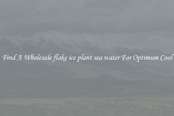 Find A Wholesale flake ice plant sea water For Optimum Cool