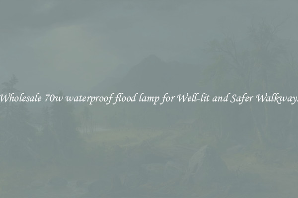 Wholesale 70w waterproof flood lamp for Well-lit and Safer Walkways
