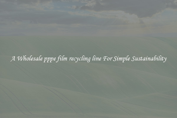  A Wholesale pppe film recycling line For Simple Sustainability 