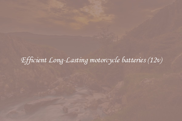 Efficient Long-Lasting motorcycle batteries (12v)