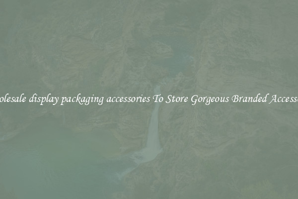 Wholesale display packaging accessories To Store Gorgeous Branded Accessories