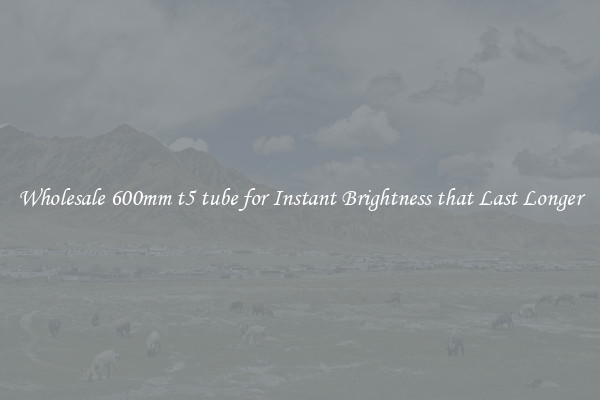 Wholesale 600mm t5 tube for Instant Brightness that Last Longer