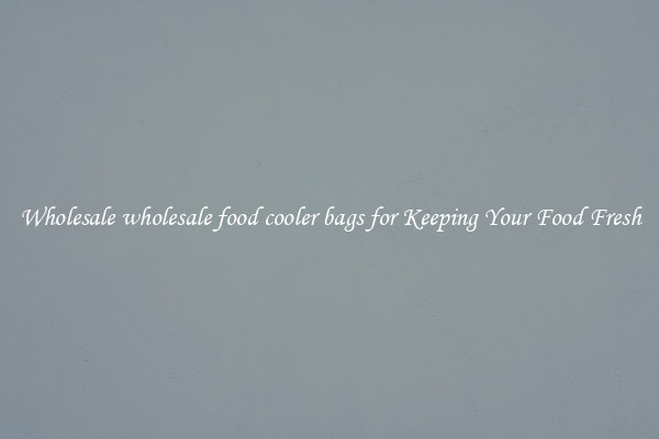 Wholesale wholesale food cooler bags for Keeping Your Food Fresh