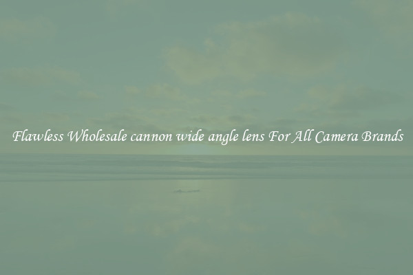 Flawless Wholesale cannon wide angle lens For All Camera Brands