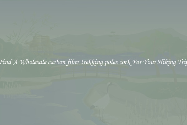 Find A Wholesale carbon fiber trekking poles cork For Your Hiking Trip