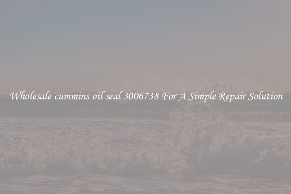 Wholesale cummins oil seal 3006738 For A Simple Repair Solution