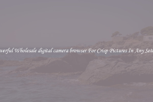 Powerful Wholesale digital camera browser For Crisp Pictures In Any Setting